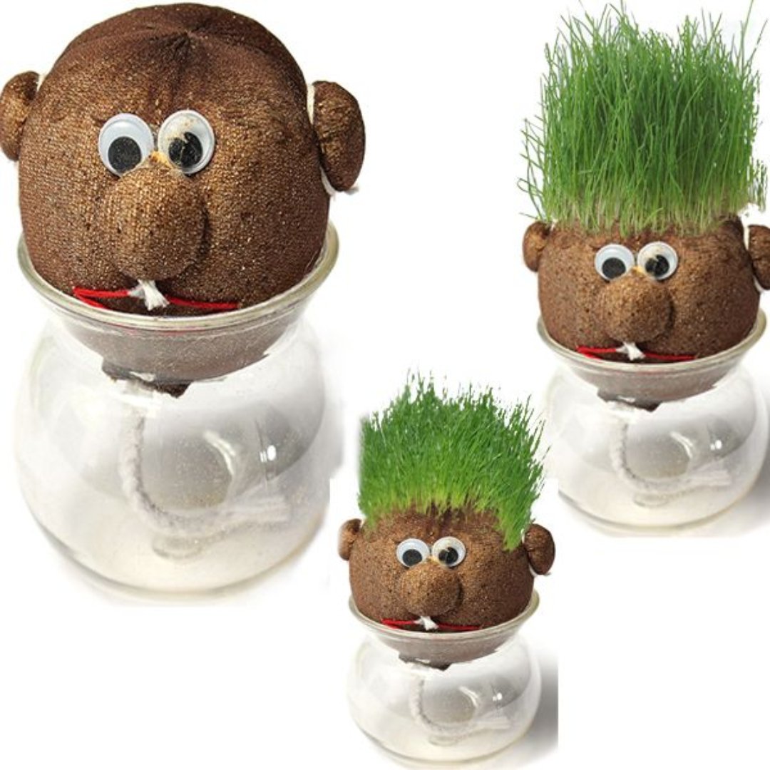 Magic Growing Grass Head DIY Craft - Fun Learning Store