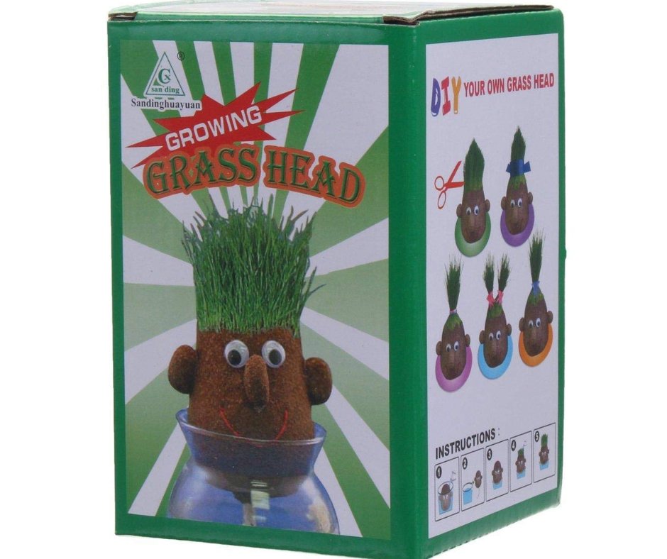 Magic Growing Grass Head DIY Craft - Fun Learning Store