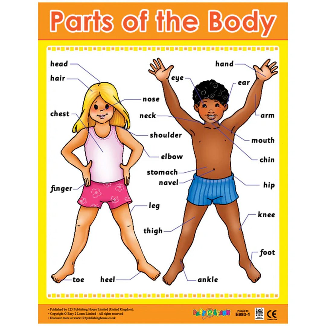 Me & My Body - Educational Wall Chart Pack for Kids - Fun Learning Store