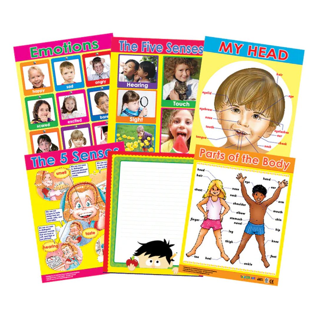 Me & My Body - Educational Wall Chart Pack for Kids - Fun Learning Store