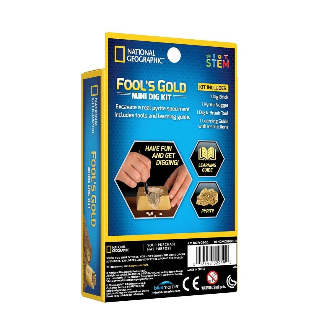 Mini Fool's Gold Dig Kit – Unearth Treasure, Spark Curiosity! - Fun Learning Store