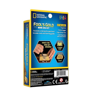 Mini Fool's Gold Dig Kit – Unearth Treasure, Spark Curiosity! - Fun Learning Store