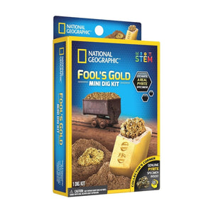 Mini Fool's Gold Dig Kit – Unearth Treasure, Spark Curiosity! - Fun Learning Store