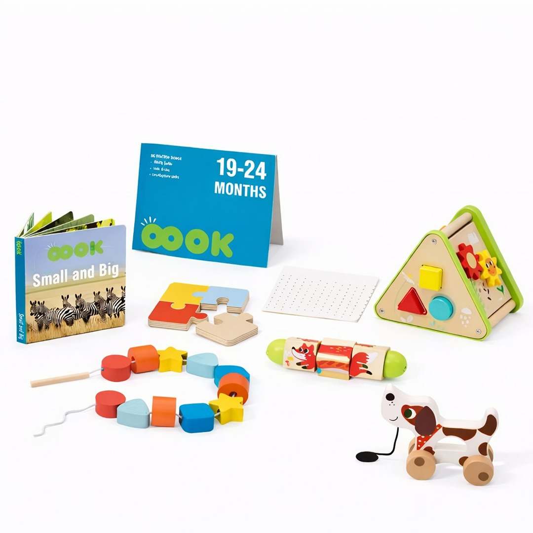 Montessori Baby Toys: 6 - in - 1 Learning Educational Set for Toddlers 19 - 24 Months - Ideal Toy Gifts - Fun Learning Store
