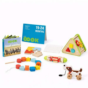 Montessori Baby Toys: 6 - in - 1 Learning Educational Set for Toddlers 19 - 24 Months - Ideal Toy Gifts - Fun Learning Store