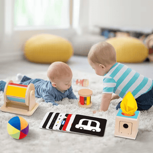 Montessori Early Education Box: Wooden Toys for Babies 0 - 6 Months - Fun Learning Store