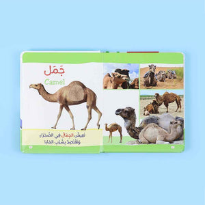Montessori My First Book Collection: Animals, Letters & Numbers – 3 Books - Fun Learning Store