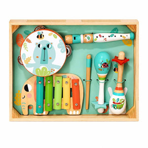Music Instrument Set – 18+ Months - Fun Learning Store