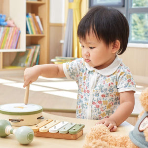 Music Set - Bird: The Ultimate Musical Playground for Tiny Maestros! - Fun Learning Store