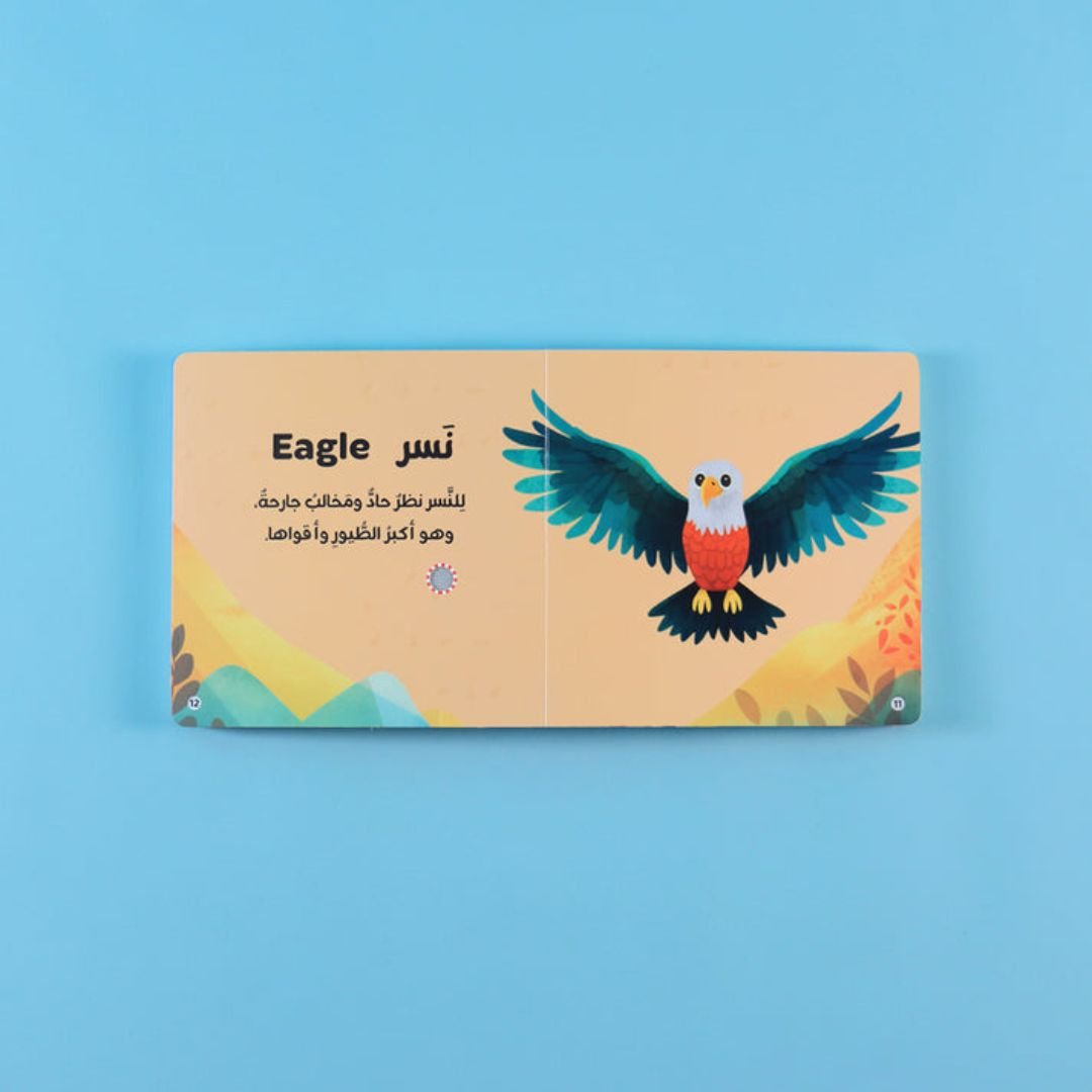 My Audiobook Series - Forest Animals | Educational Books for kids - Fun Learning Store