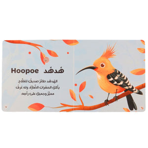 My Audiobook Series - My Pets | Educational Books for kids - Fun Learning Store