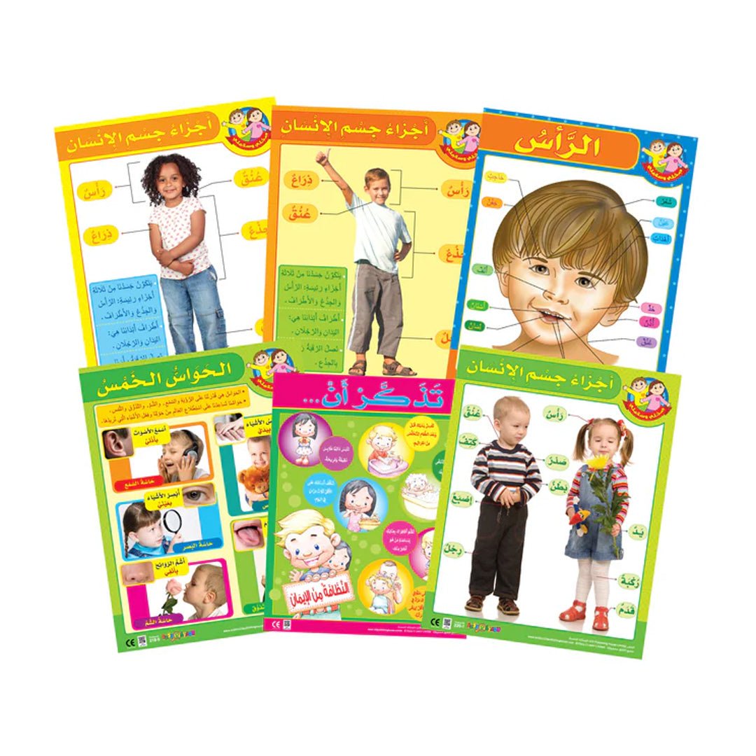 My Body & My 5 Senses Wall Chart Pack – 6 Educational Charts for Kids (Arabic) - Fun Learning Store