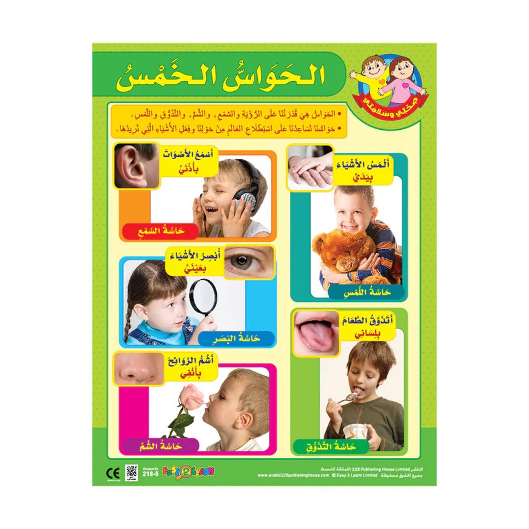 My Body & My 5 Senses Wall Chart Pack – 6 Educational Charts for Kids (Arabic) - Fun Learning Store