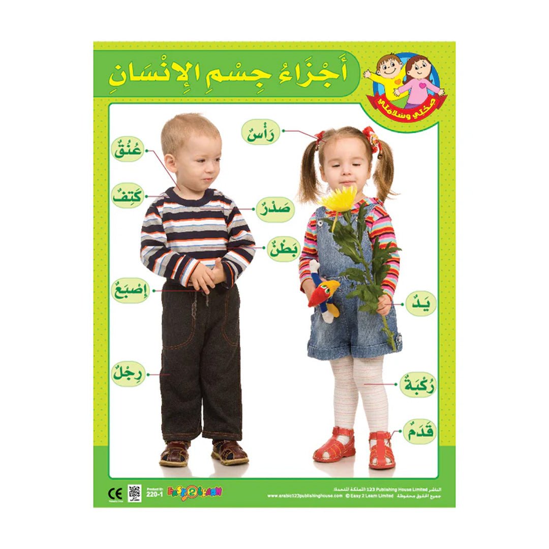 My Body & My 5 Senses Wall Chart Pack – 6 Educational Charts for Kids (Arabic) - Fun Learning Store