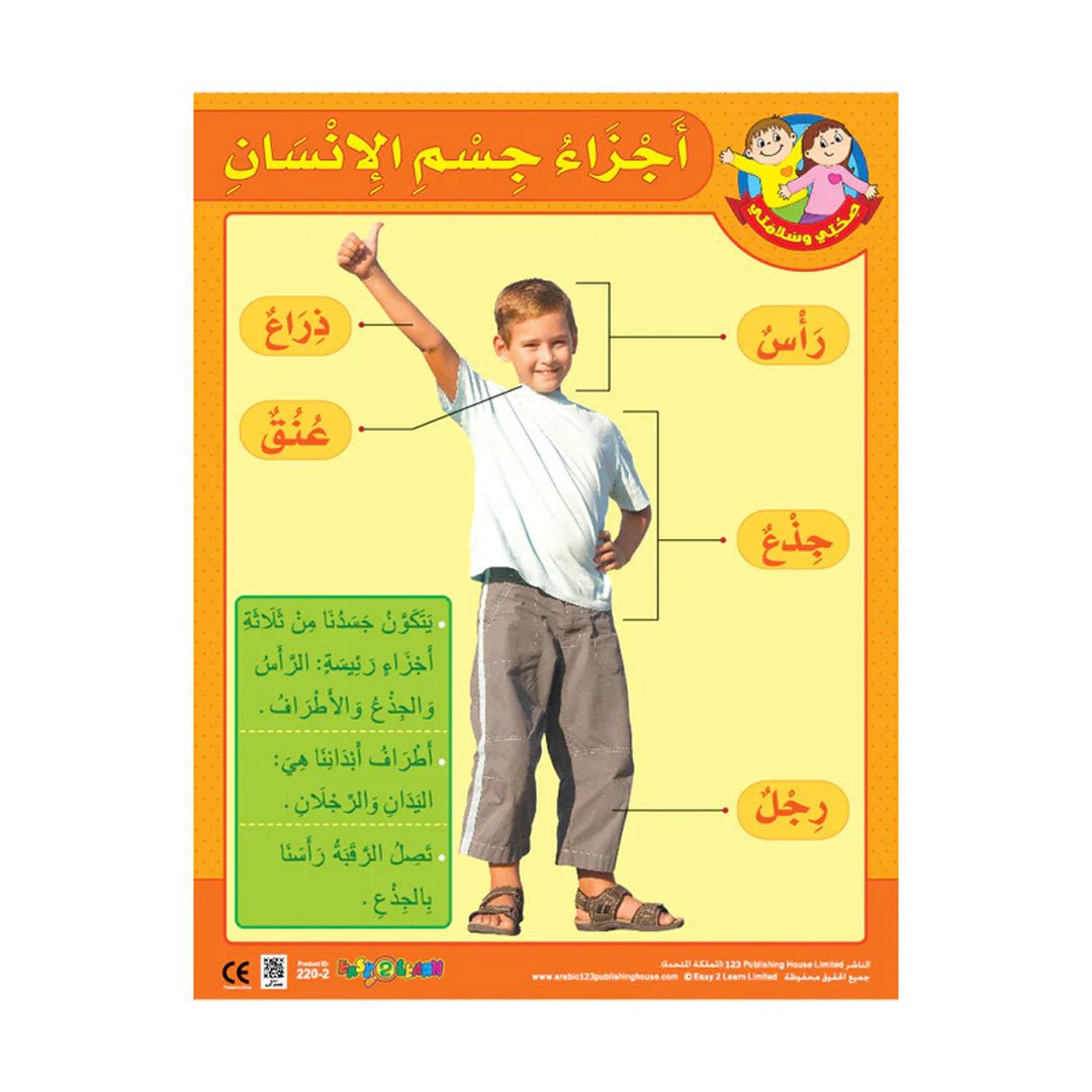 My Body & My 5 Senses Wall Chart Pack – 6 Educational Charts for Kids (Arabic) - Fun Learning Store