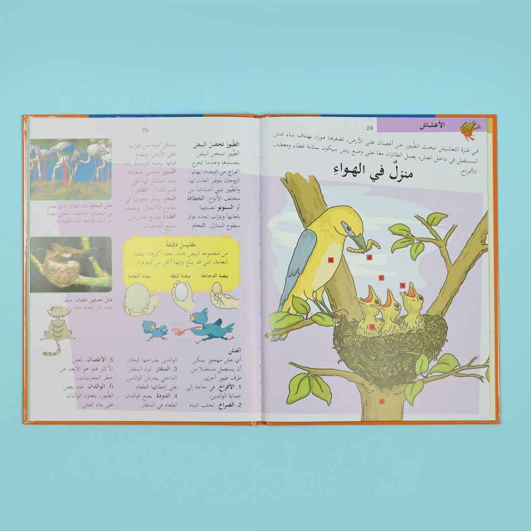 My First Atlas – 8 - Part Educational Adventure! - Fun Learning Store