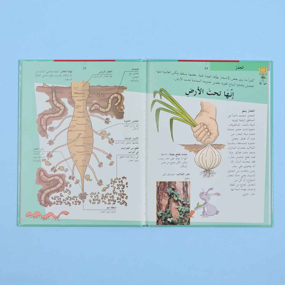 My First Atlas – 8 - Part Educational Adventure! - Fun Learning Store