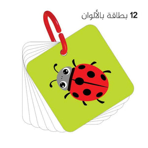 My First Cards – High-Contrast Visual Stimulation Cards for Newborns & Babies - Fun Learning Store