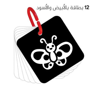 My First Cards – High-Contrast Visual Stimulation Cards for Newborns & Babies - Fun Learning Store