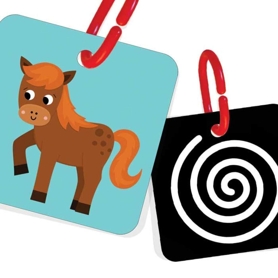 My First Cards – High-Contrast Visual Stimulation Cards for Newborns & Babies - Fun Learning Store
