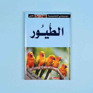 My First Educational Encyclopedia – 15 Volumes + 15 CDs of Knowledge & Fun! - Fun Learning Store