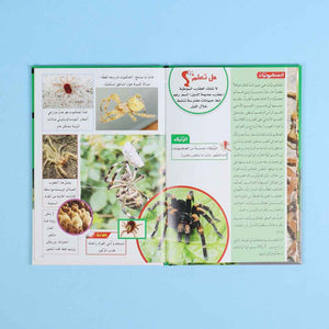 My First Educational Encyclopedia – 15 Volumes + 15 CDs of Knowledge & Fun! - Fun Learning Store