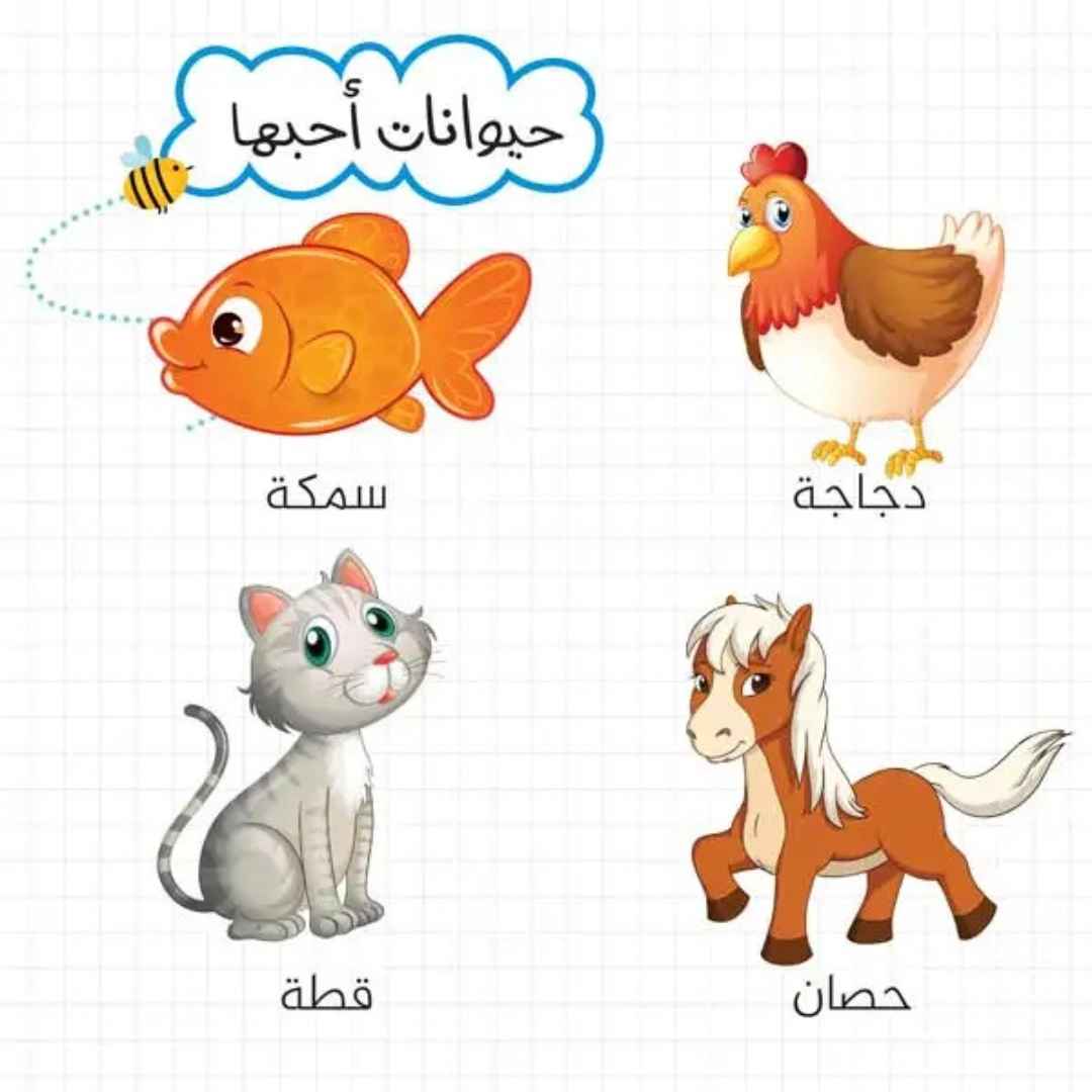 My First Words (My First Books 4): Helping Your Little One Find Their Voice! - Fun Learning Store