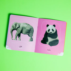 My Little Library Series - 8 Parts - Essential Early Learning for Toddlers |+3 Years - Fun Learning Store