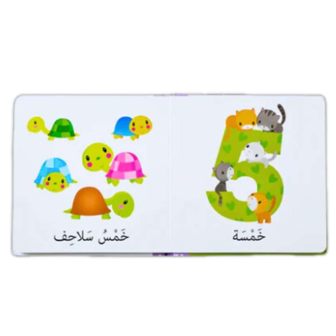 My Numbers and Words - My First Numbers - Fun Learning Store