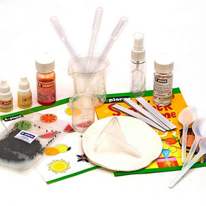 My Summer Perfume Making Kit – Citrus Fun in Every Drop! - Fun Learning Store