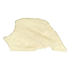 Nose & Olfactory Model – Discover the Fascinating Science of Smell! - Fun Learning Store