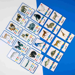 Nouns - self - education - Fun Learning Store