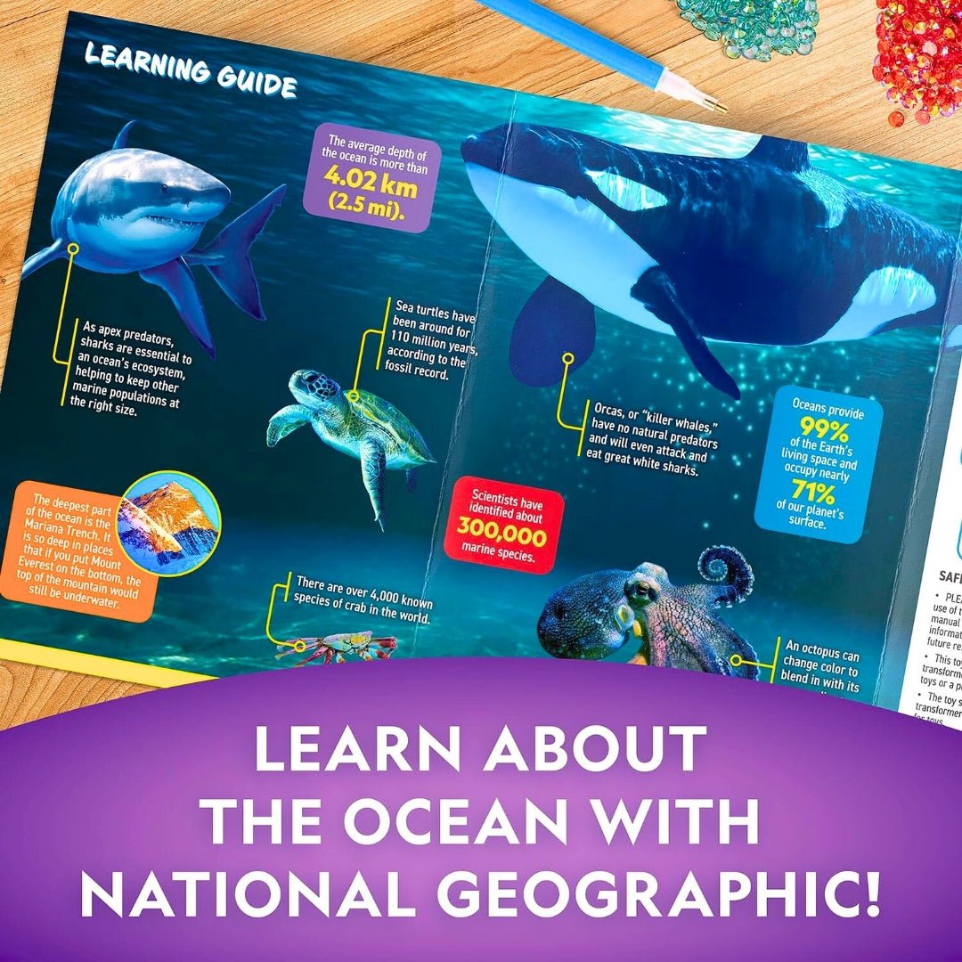 Ocean Nightlight Craft Kit – Sparkle, Create & Light Up the Sea! - Fun Learning Store