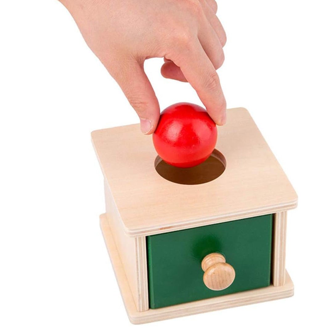 One Ball Drawer Toy – Develop Matching Skills and Motor Coordination - Fun Learning Store