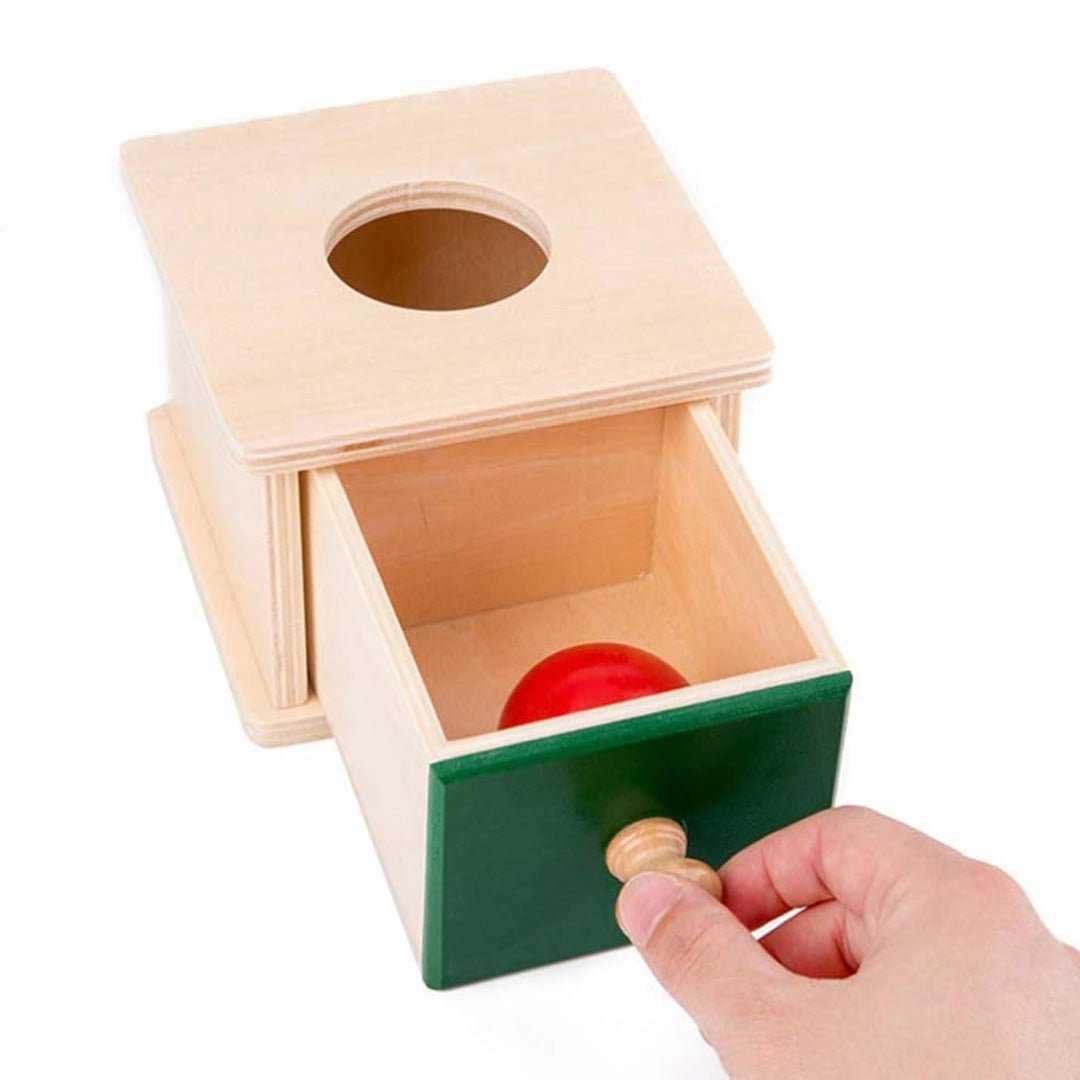 One Ball Drawer Toy – Develop Matching Skills and Motor Coordination - Fun Learning Store