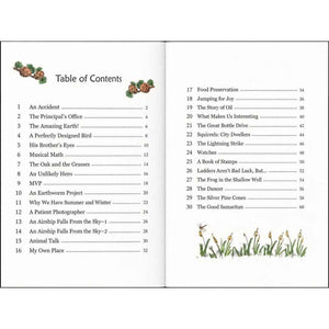 One Story A Day for Intermediate Readers – Book 9 for September | Age 8+ - Fun Learning Store