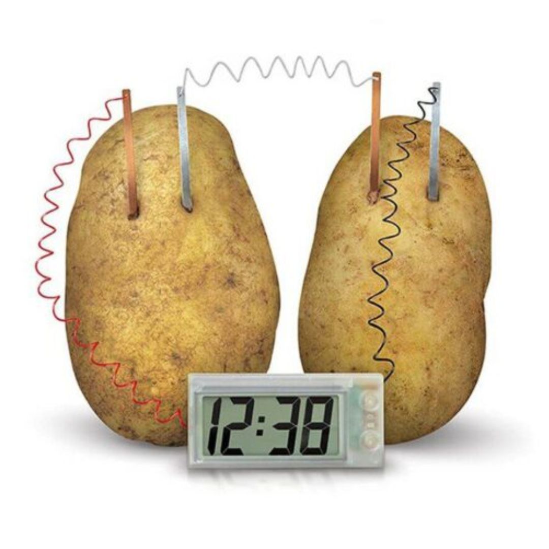 Potato Clock Chemical Experiment - STEM Educational DIY Kit for Kids - Fun Learning Store