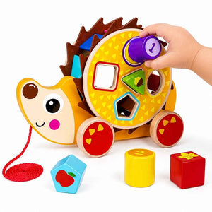 Pull Along Hedgehog – The Perfect Companion For First Adventures - Fun Learning Store