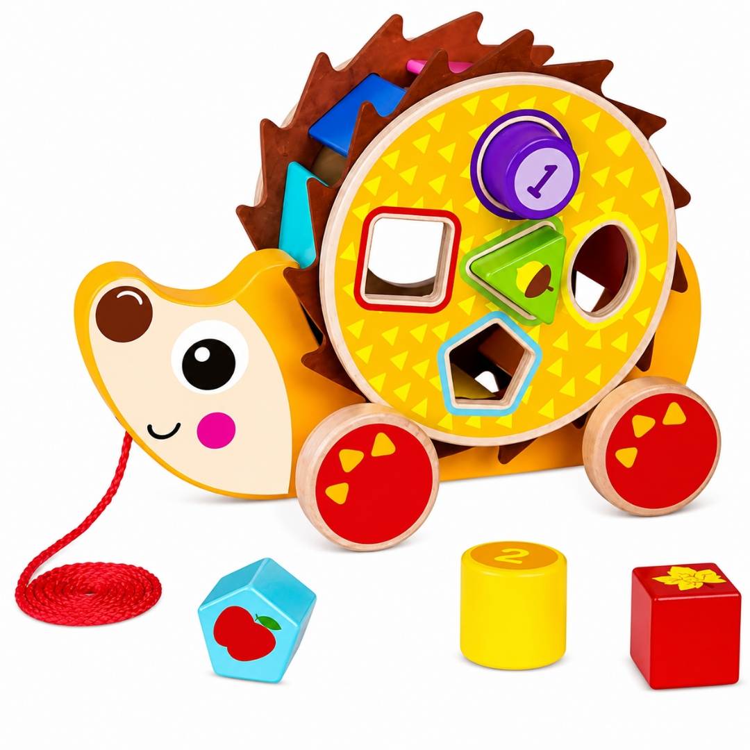 Pull Along Hedgehog – The Perfect Companion For First Adventures - Fun Learning Store
