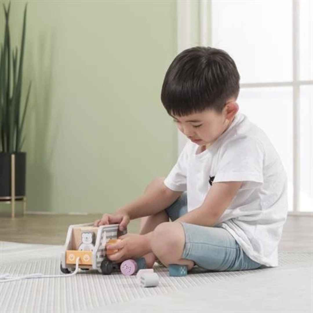 Pull-Along Shape Sorting Truck: Learn, Pull, and Play! - Fun Learning Store