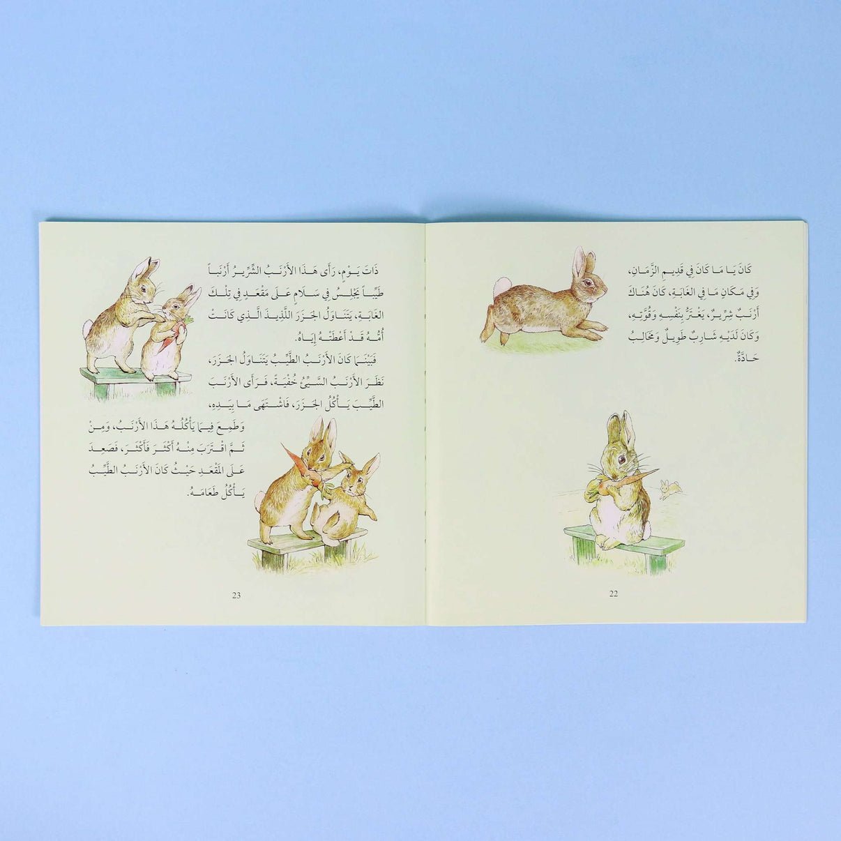 Rabbit & Friends’ Adventures - 4 Books: Timeless Tales of Wonder! - Fun Learning Store