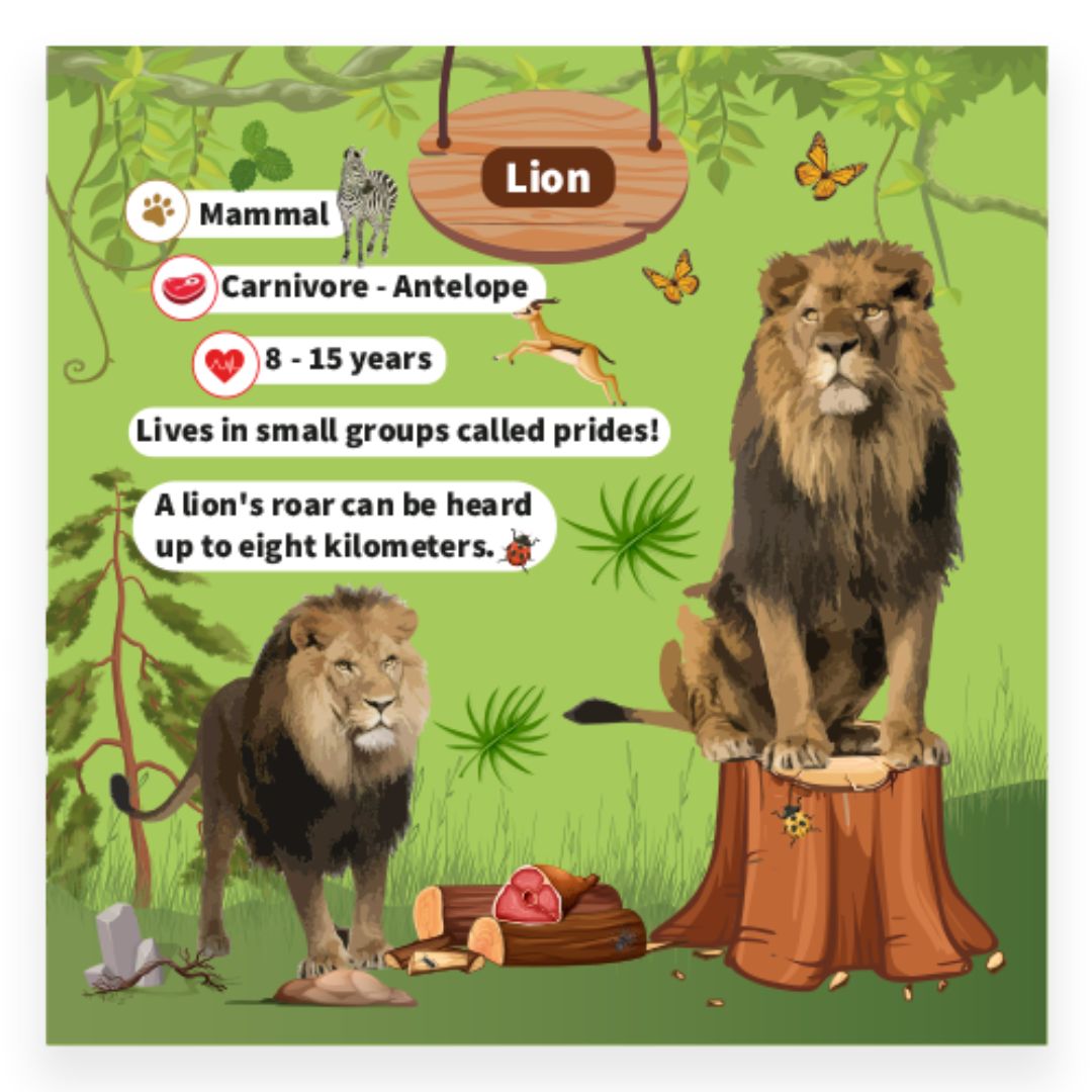 Recall Cards Game for Kids - Animals - Fun Learning Store