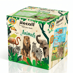 Recall Cards Game for Kids - Animals - Fun Learning Store