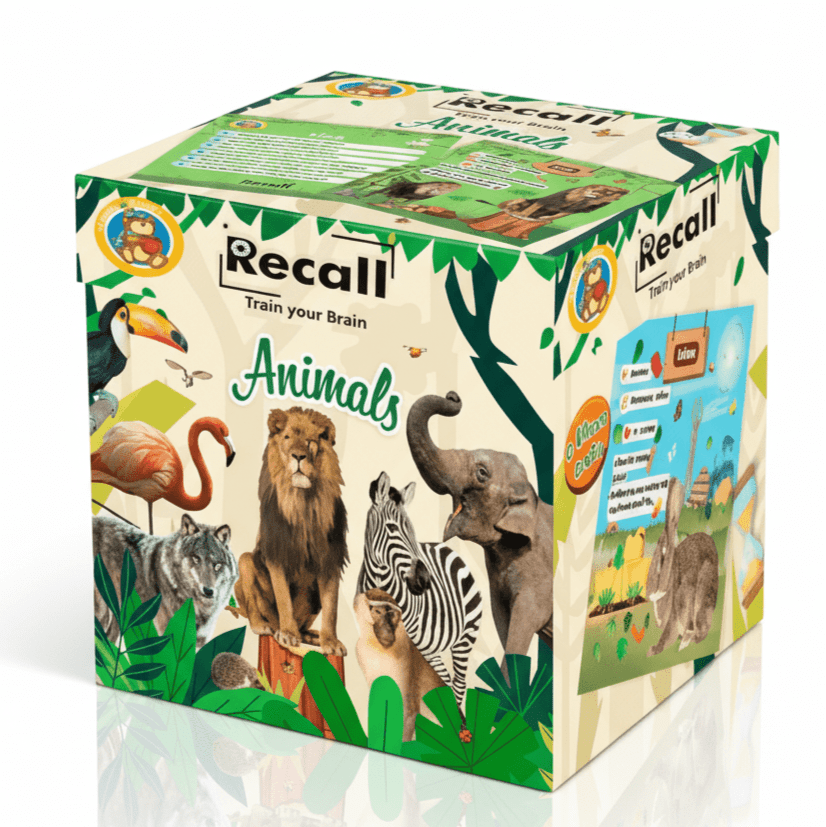 Recall Cards Game for Kids - Animals - Fun Learning Store