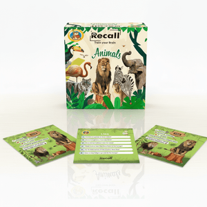 Recall Cards Game for Kids - Animals - Fun Learning Store