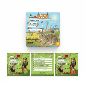 Recall Cards Game for Kids - Animals - Fun Learning Store
