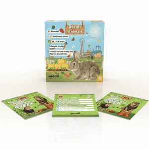 Recall Cards Game for Kids - Animals - Fun Learning Store