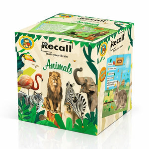 Recall Cards Game for Kids - Animals - Fun Learning Store