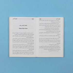 Red Agate: A Chinese Novel for Children - Overcoming Poverty and Embracing Change - Fun Learning Store