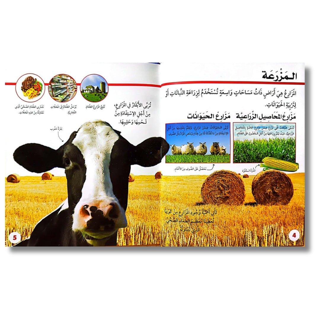Scholastic - The Farm Encyclopedia - Interactive Digital Learning Experience - Fun Learning Store